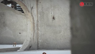 混凝土制品噴碼 圖4 混凝土制品噴碼 圖4